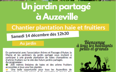 Jardins partagés toutes les actions faites et à venir